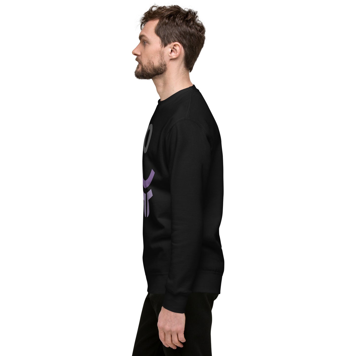 New Fearless Logo and 3.0 Logo - Unisex Premium Sweatshirt Black